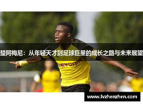 楚阿梅尼：从年轻天才到足球巨星的成长之路与未来展望